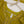 Load image into Gallery viewer, Tehwar v3- Luxury Organza Outfit with Gharara-Ready to Wear - D9