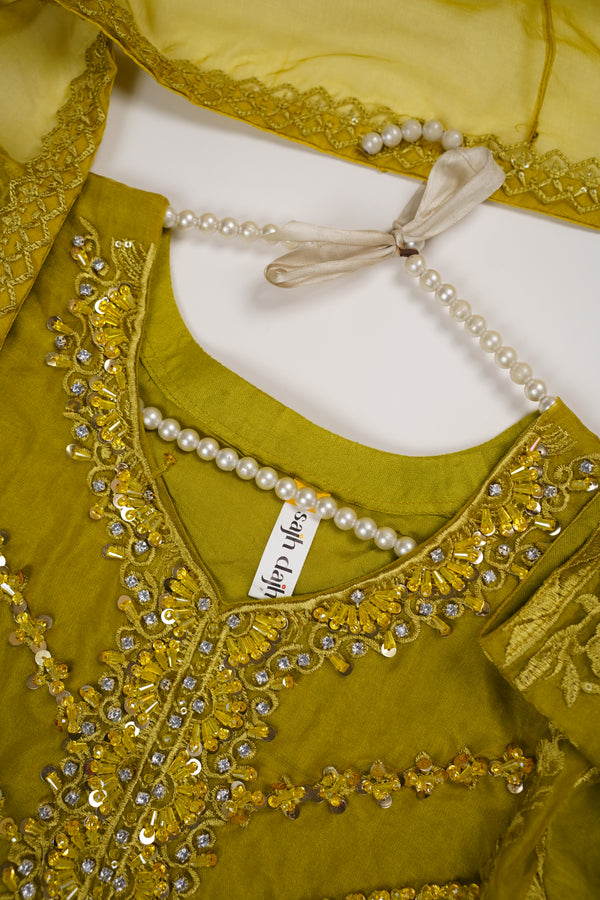 Tehwar v3- Luxury Organza Outfit with Gharara-Ready to Wear - D9