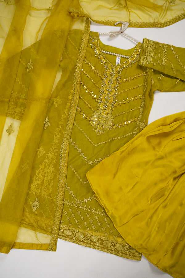 Tehwar v3- Luxury Organza Outfit with Gharara-Ready to Wear - D9
