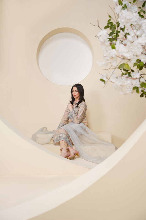 Tehwar - Luxury Organza Outfit - Festive Collection - Ready to Wear - V7 - D1 - Eid25 - 1