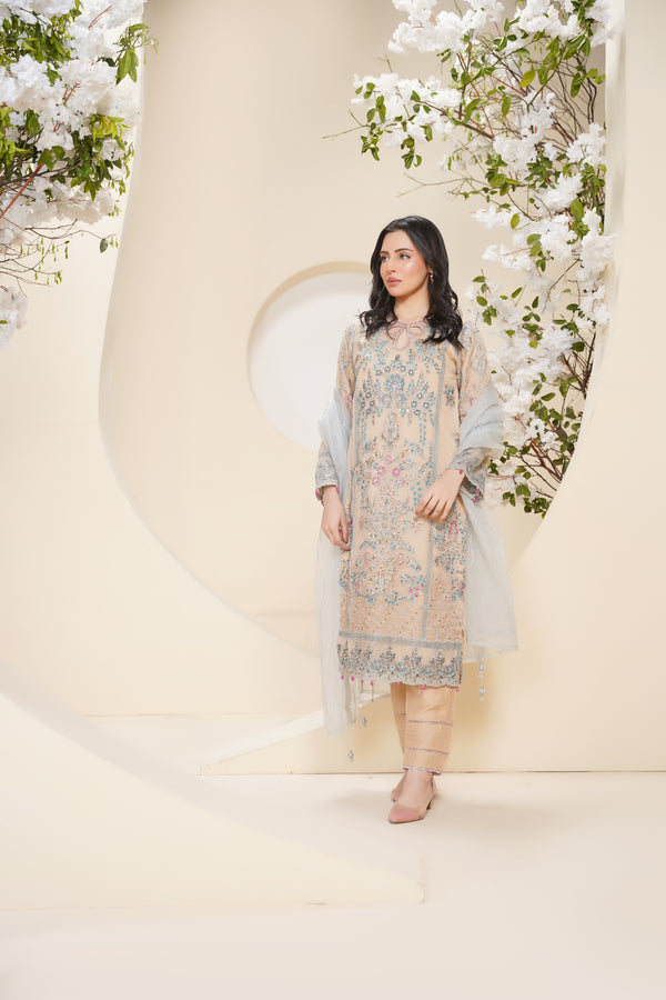 Tehwar - Luxury Organza Outfit - Festive Collection - Ready to Wear - V7 - D1 - Eid25 - 1