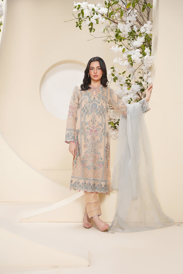 Tehwar - Luxury Organza Outfit - Festive Collection - Ready to Wear - V7 - D1 - Eid25 - 1