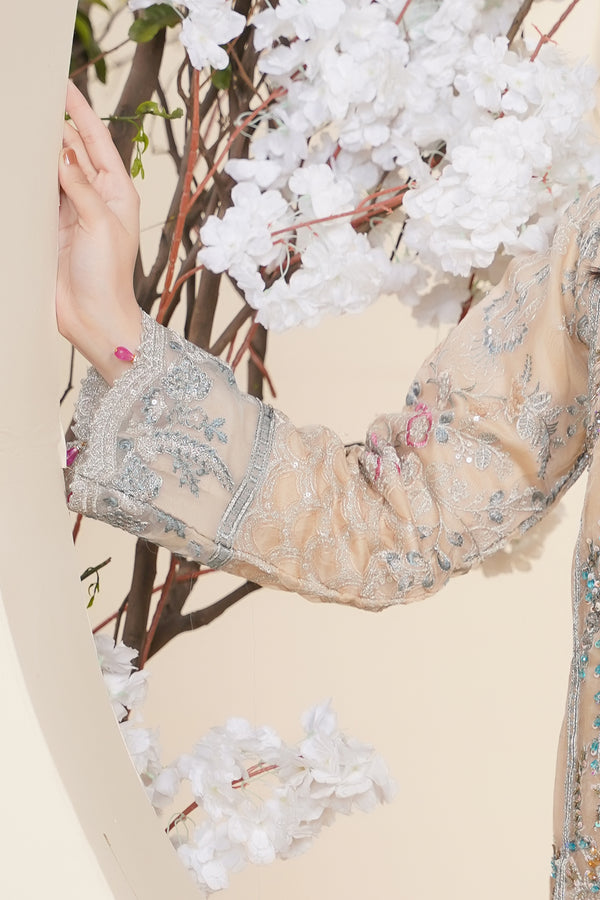 Tehwar - Luxury Organza Outfit - Festive Collection - Ready to Wear - V7 - D1 - Eid25 - 1
