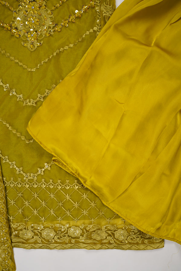 Tehwar v3- Luxury Organza Outfit with Gharara-Ready to Wear - D9