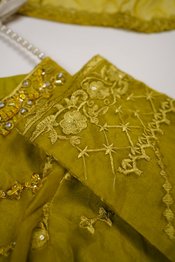 Tehwar v3- Luxury Organza Outfit with Gharara-Ready to Wear - D9