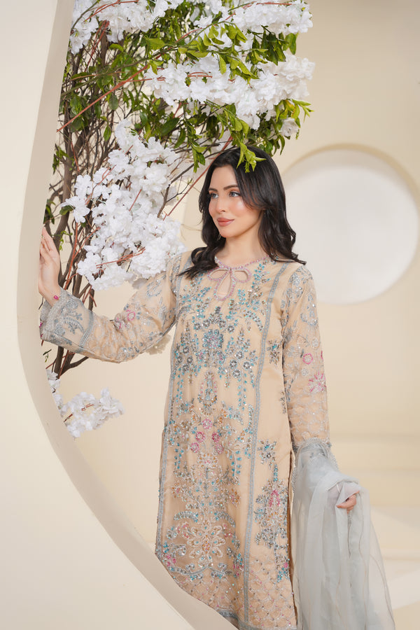 Tehwar - Luxury Organza Outfit - Festive Collection - Ready to Wear - V7 - D1 - Eid25 - 1