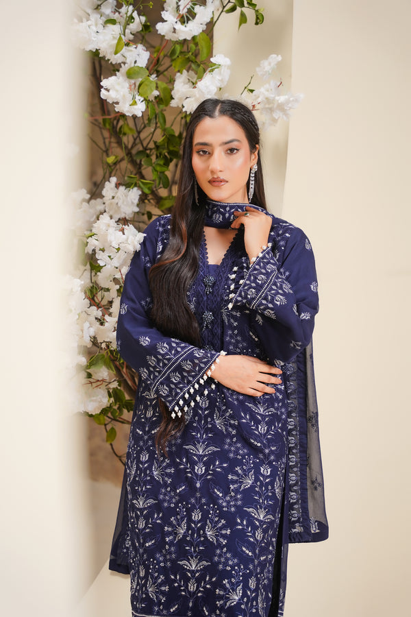 Husan e Jahan - Luxury Chiffon Outfit with Chiffon Dupatta - Ready to Wear - Eid25 - HEJBlueV2D10