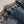 Load image into Gallery viewer, Husan e Jahan - Luxury Festive Collection - Ready to Wear - V2 - D4 - HEJV2D4