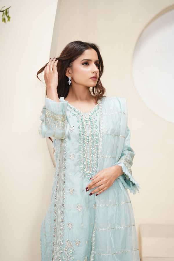 Tehwar - Luxury Organza Outfit - Festive Collection - Ready to Wear - V6 - D7 - Eid25 - 10