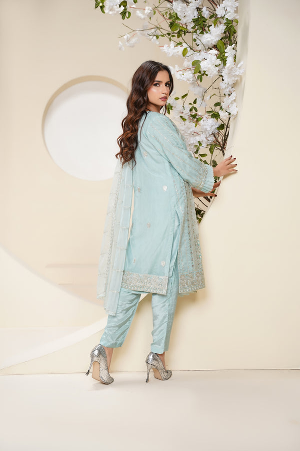 Tehwar - Luxury Organza Outfit - Festive Collection - Ready to Wear - V6 - D7 - Eid25 - 10
