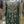 Load image into Gallery viewer, Tehwar- Luxury Organza Maxi Outfit with organza Dupatta-Ready To Wear TehV8D1