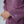 Load image into Gallery viewer, Husan e Jahan - Luxury Chiffon Outfit with Chiffon Dupatta - Ready to Wear - Eid25 - HEJ-V1-D9