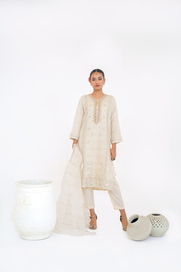 Tehwar - Luxury Organza Outfit - Festive Collection - Ready to Wear - Eid25 - TEHV4D3