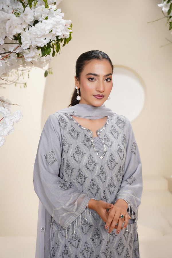 Husan e Jahan - Luxury Chiffon Outfit with Chiffon Dupatta - Ready to Wear - Eid25 - HEJGreyV3D2