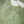 Load image into Gallery viewer, Rozi - Farshi Shalwar - Luxury Cotton Lawn Outfit With Net Dupatta - Ready to Wear PD030