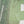 Load image into Gallery viewer, Rozi - Farshi Shalwar - Luxury Cotton Lawn Outfit With Net Dupatta - Ready to Wear PD030