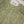 Load image into Gallery viewer, Tehwar - Luxury Festive Collection - Ready to Wear - Tehv9d6