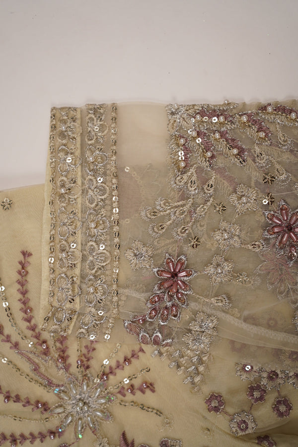 Tehwar - Luxury Festive Collection - Ready to Wear - Tehv9d7