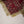 Load image into Gallery viewer, Husan e Jahan - Luxury Festive Collection With Shararah - Ready to Wear - HEJ-V6-D2