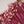 Load image into Gallery viewer, Rozi - Exclusive Khaddar Outfit with Shawl - Ready to Wear - PD149