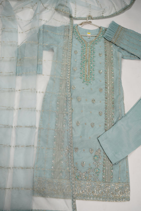 Tehwar - Luxury Organza Outfit - Festive Collection - Ready to Wear - V6 - D7 - Eid25 - 10