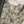 Load image into Gallery viewer, Bin Saeed by SajhDajh - Exclusive Khaddar Outfit with Shawl - Ready to Wear - PD177