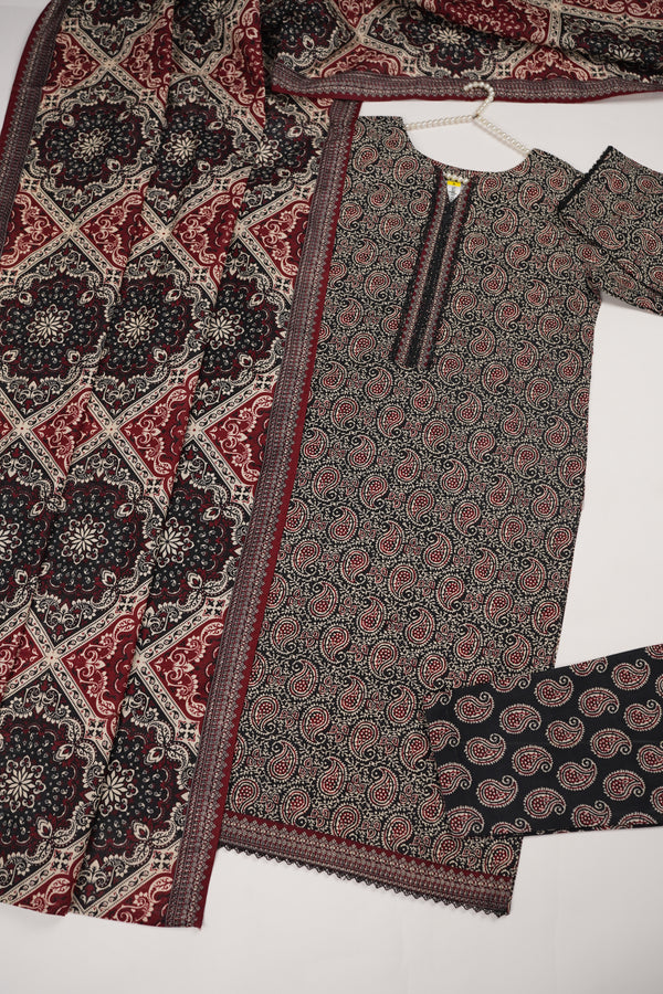 Bin Saeed by SajhDajh - Exclusive Khaddar Outfit with  Shawl - Ready to Wear - PD170