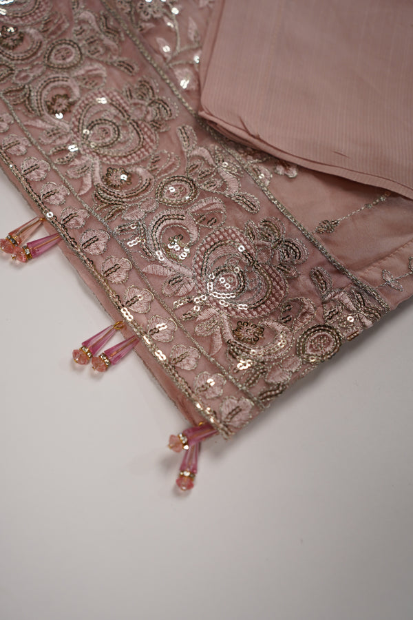 Tehwar - Luxury Organza Outfit - Festive Collection - Ready to Wear - Eid25 - TEHV8D2