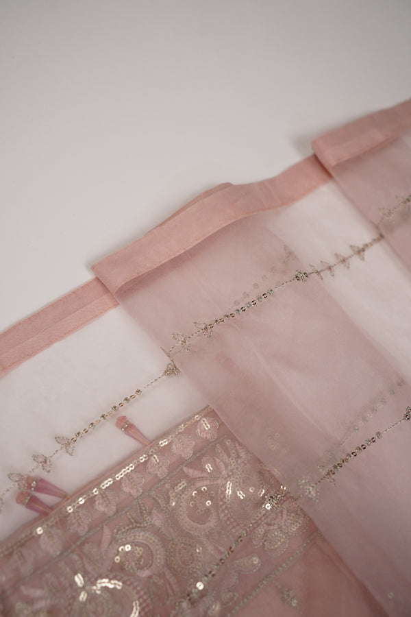 Tehwar - Luxury Organza Outfit - Festive Collection - Ready to Wear - Eid25 - TEHV8D2