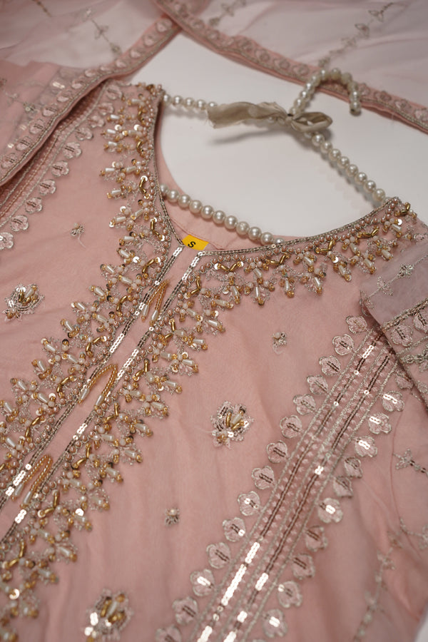 Tehwar - Luxury Organza Outfit - Festive Collection - Ready to Wear - Eid25 - TEHV8D2