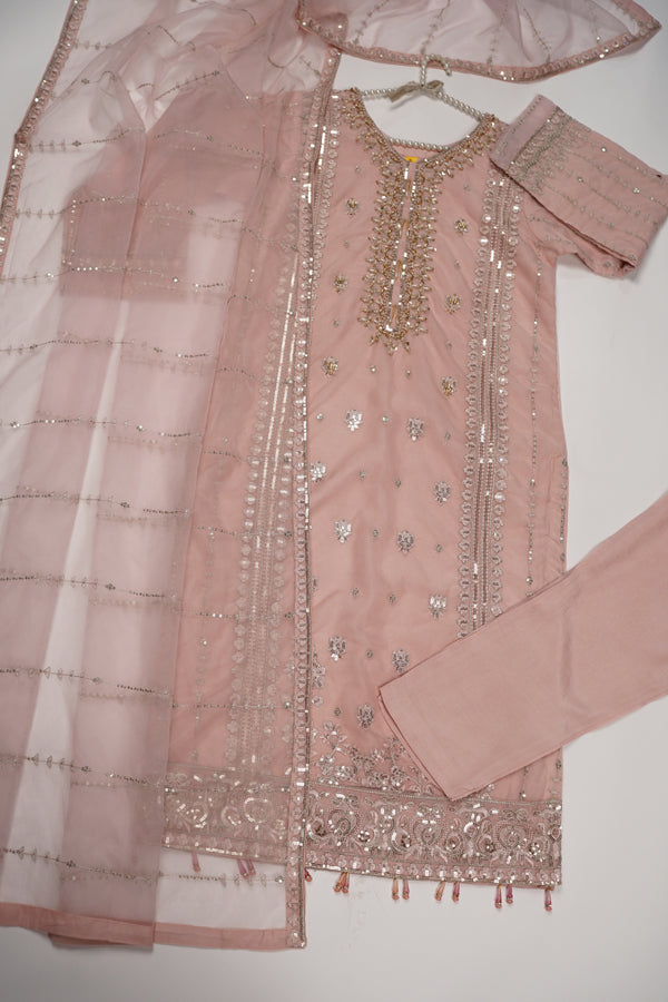 Tehwar - Luxury Organza Outfit - Festive Collection - Ready to Wear - Eid25 - TEHV8D2