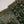 Load image into Gallery viewer, Husan e Jahan - Luxury Festive Collection - Ready to Wear - HEJ-V4-D8