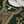Load image into Gallery viewer, Husan e Jahan - Luxury Festive Collection - Ready to Wear - HEJ-V4-D8