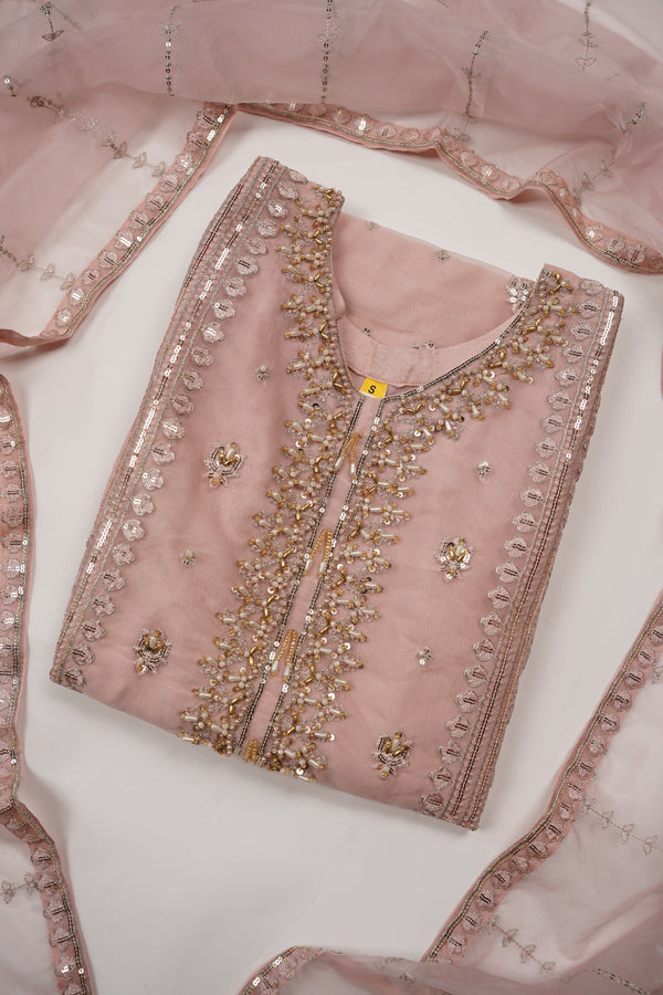 Tehwar - Luxury Organza Outfit - Festive Collection - Ready to Wear - Eid25 - TEHV8D2