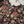Load image into Gallery viewer, Bin Saeed Originals - Lawn Outfit with Lawn Dupatta - Ready to wear PD093