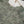 Load image into Gallery viewer, Bin Saeed Originals - Lawn Outfit with Lawn Dupatta - Ready to wear PD090
