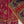Load image into Gallery viewer, Husan e Jahan - Luxury Festive Collection - Ready to Wear - HEJ-V5-D4