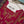 Load image into Gallery viewer, Husan e Jahan - Luxury Festive Collection - Ready to Wear - HEJ-V5-D4