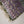 Load image into Gallery viewer, Husan e Jahan - Luxury Festive Collection - Ready to Wear - HEJ-V5-D2