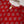 Load image into Gallery viewer, Rozi - Printed cotton Outfit - Ready to Wear PD121