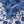 Load image into Gallery viewer, Sajh Dajh Floral Quilt Cover Set