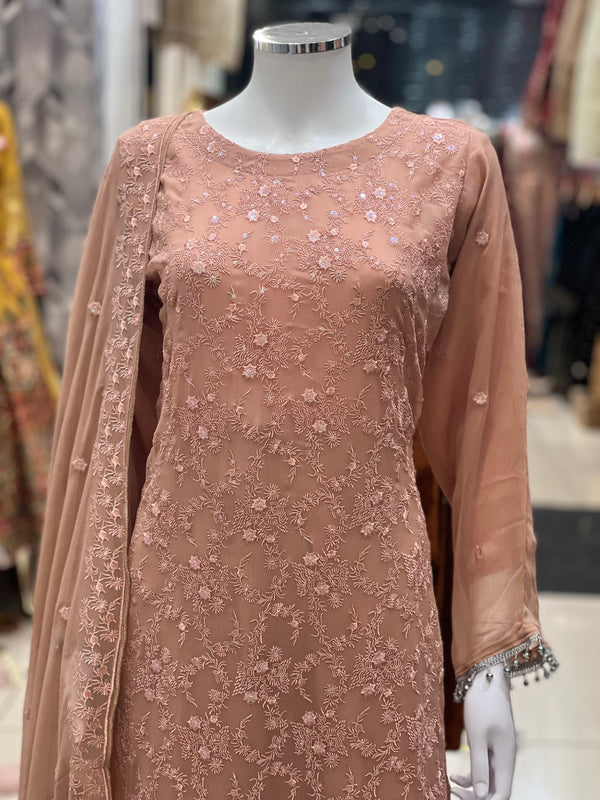 Sajh Dajh Husan e Jahan - Luxury Chiffon Suit with Chiffon Dupatta in Baby Pink - Ready to Wear