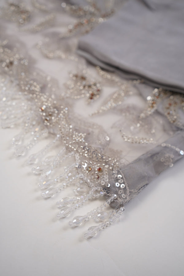 Sajh Dajh Luxury Formals - Kat Dana Heavily Embroidered Net (Long Shirts) - Ready to Wear - V1 - D2