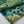 Load image into Gallery viewer, Sajh Dajh Lyra - Printed Chiffon Maxi - Ready to Wear
