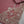 Load image into Gallery viewer, Sajh Dajh Muhazzib - Embroidered Khaddar with Trouser - Ready to Wear