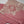 Load image into Gallery viewer, Sajh Dajh Muhazzib - Embroidered Khaddar with Trouser - Ready to Wear