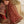 Baroque By SajhDajh - Royal Bemberg Embroidered Chiffon Outfit with Net Dupatta - Ready to Wear