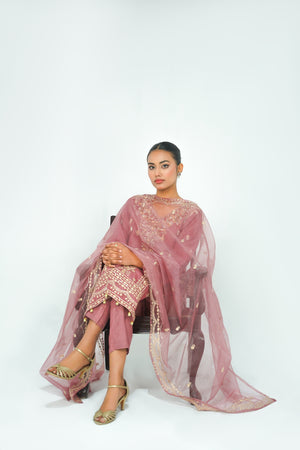Tehwar - Luxury Organza Outfit - Festive Collection - Ready to Wear - V4 - D5 - Eid25-05