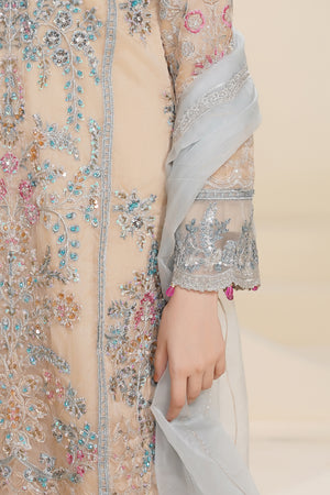 Tehwar - Luxury Organza Outfit - Festive Collection - Ready to Wear - V7 - D1 - Eid25 - 1