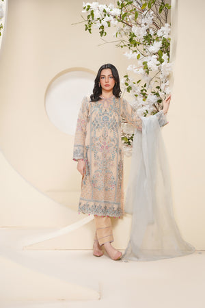 Tehwar - Luxury Organza Outfit - Festive Collection - Ready to Wear - V7 - D1 - Eid25 - 1